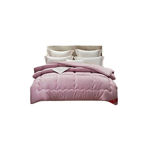 Color sólido invierno edredón, púrpura mullido lecho portátil espesa el sitio del dormitorio edredón con capacidad for 150 / cama de 180 cm Uso 220 * 240CM ( Color : Purple , Size : 200*230CM-7KG )