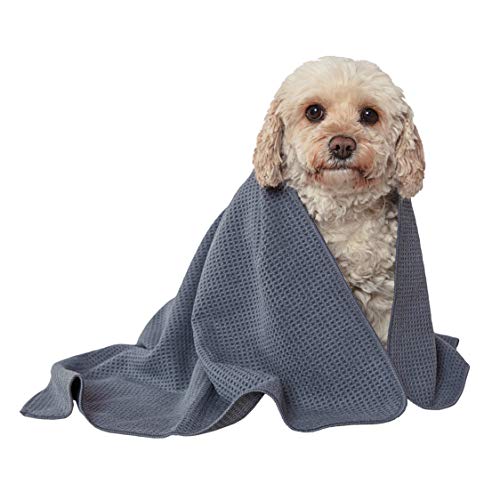 Glart - Absorbente y suave toalla de baño de microfibra para perros y mascotas de 80 x 55 cm