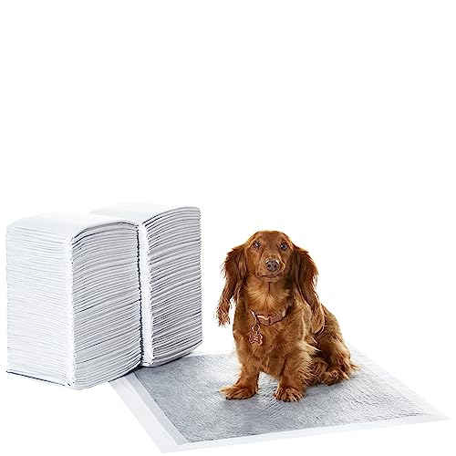 Amazon Basics Almohadillas de adiestramiento de perros y cachorros, carbón para control de olor, a prueba de fugas con superficie de secado rápido, regular, 120 unidades