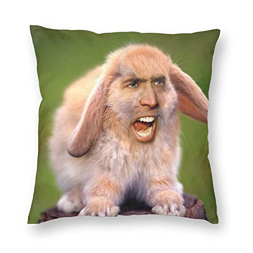 DOLUDO Divertido animal cara estilo nórdico NI-co-las Ca-ge conejo tiro funda de almohada para el hogar decorativo personalizado divertido funda de almohada para sofá