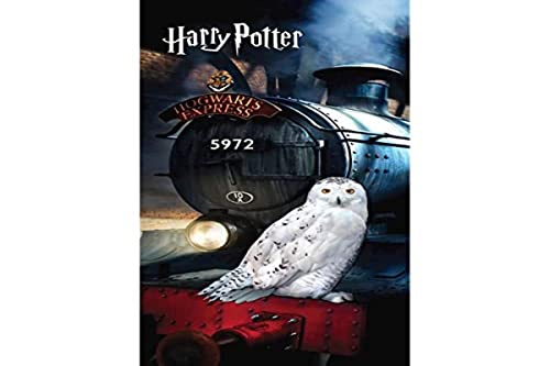 Kasdesign Serviette de Plage Harry Potter Hedwige/Poudlard Express Toallas de baño, Multicolor, Único